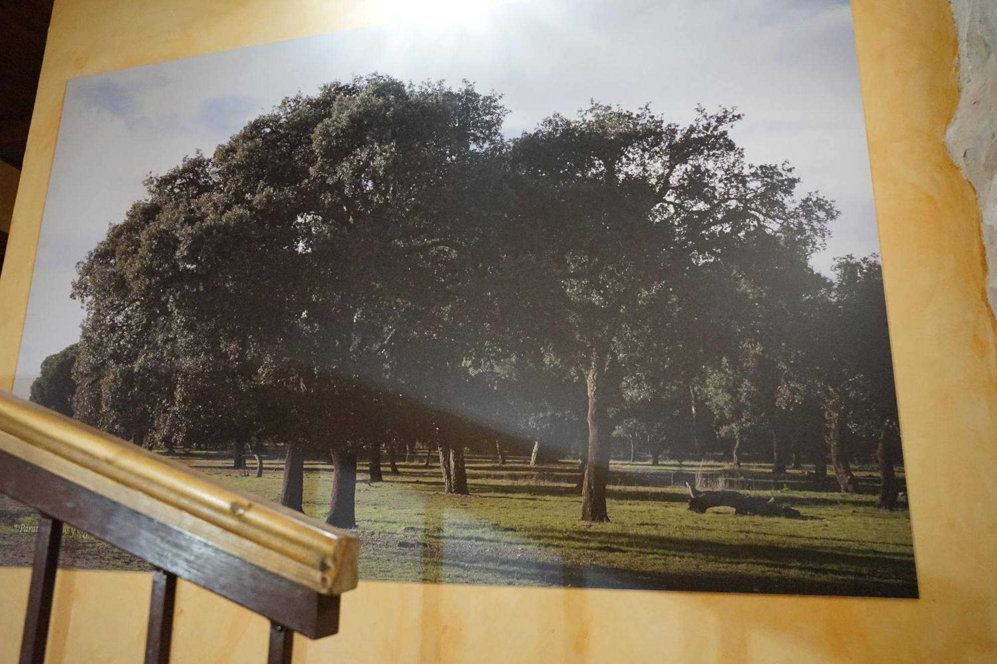 Casa Rural La Abuela Marcelina Foncastin エクステリア 写真